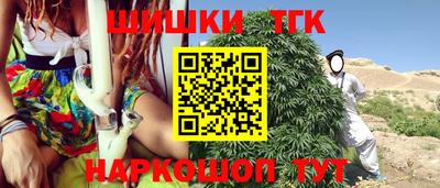 крисы Будённовск