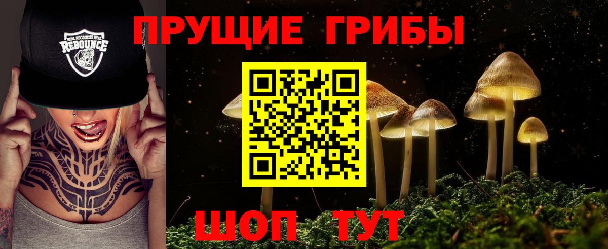 Галлюциногенные грибы мицелий Приморско-Ахтарск